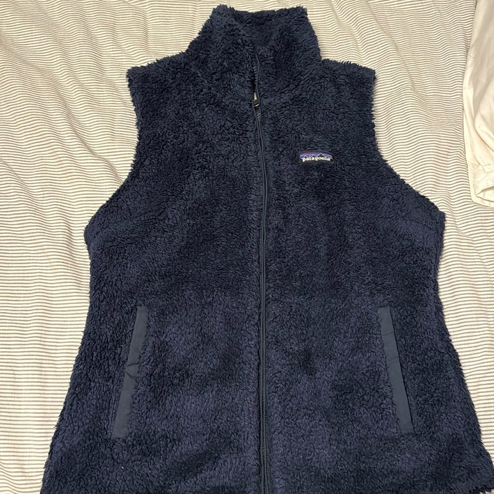 Patagonia vest